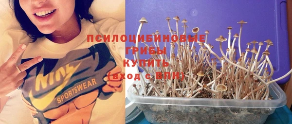 a pvp Зеленодольск